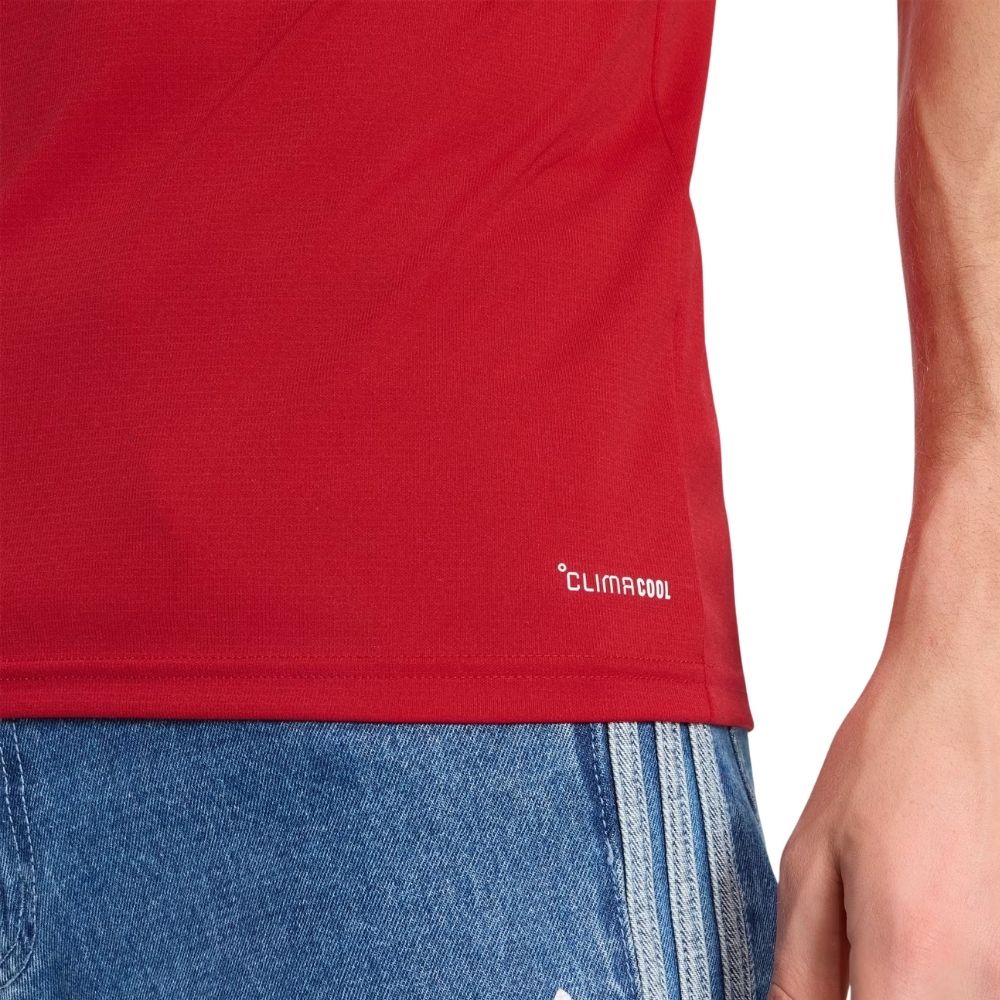 Camisa Futebol Wales Copa do Mundo 2026 I Torcedor Vermelha Masculina