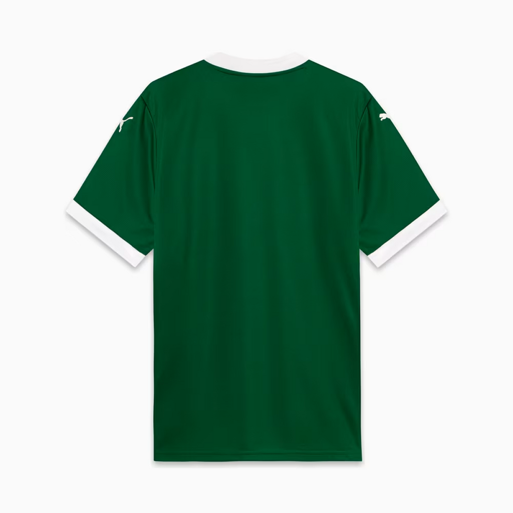 Camisa Palmeiras 25/26 I Home Verde Torcedor Masculina